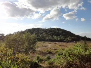 Aura Minerals تخطط لجمع أكثر من 196 مليون دولار في الاكتتاب العام الأمريكي