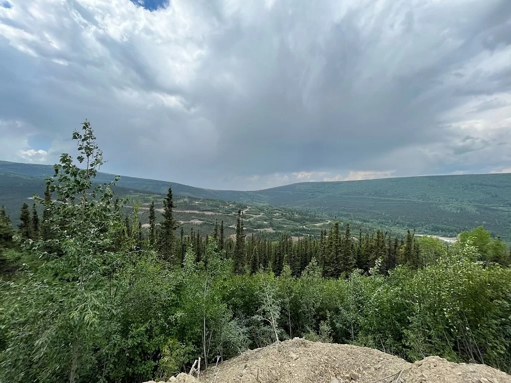 Freegold تصل إلى أعلى مستوى خلال 5 سنوات بعد تحديث