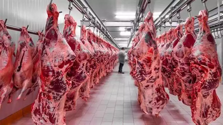 أسعار السلع الأساسية بالأسواق اليوم 26-7-2025 (موقع رسمي)