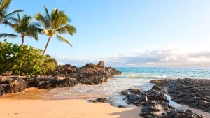 أفضل 13 شاطئًا في ماوي، من الخلجان الهادئة إلى معاقل ركوب الأمواج