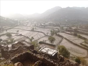 اخبار المناطق – تساقط أمطار غزيرة في مديرية جحاف بمحافظة الضالع