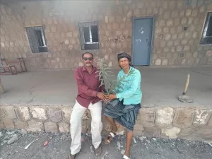 اخبار المناطق – مبادرة زرع أشجار في مدرسة الصمود الأساسية (بنين وبنات) في ردفان بدعم مناخبار المناطق – مبادرة زراعة الأشجار في مدرسة الصمود للتعليم الأساسي (بنين وبنات) في ردفان بدعم من