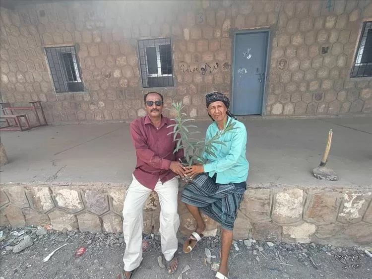 حملة تشجير في مدرسة الصمود للتعليم الأساسي (بنين وبنات في ردفان بدعمٍ من العميد جمال عامر