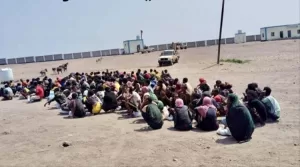 اخبار المناطق – وصول 400 مهاجر من أفريقيا إلى سواحل شبوة