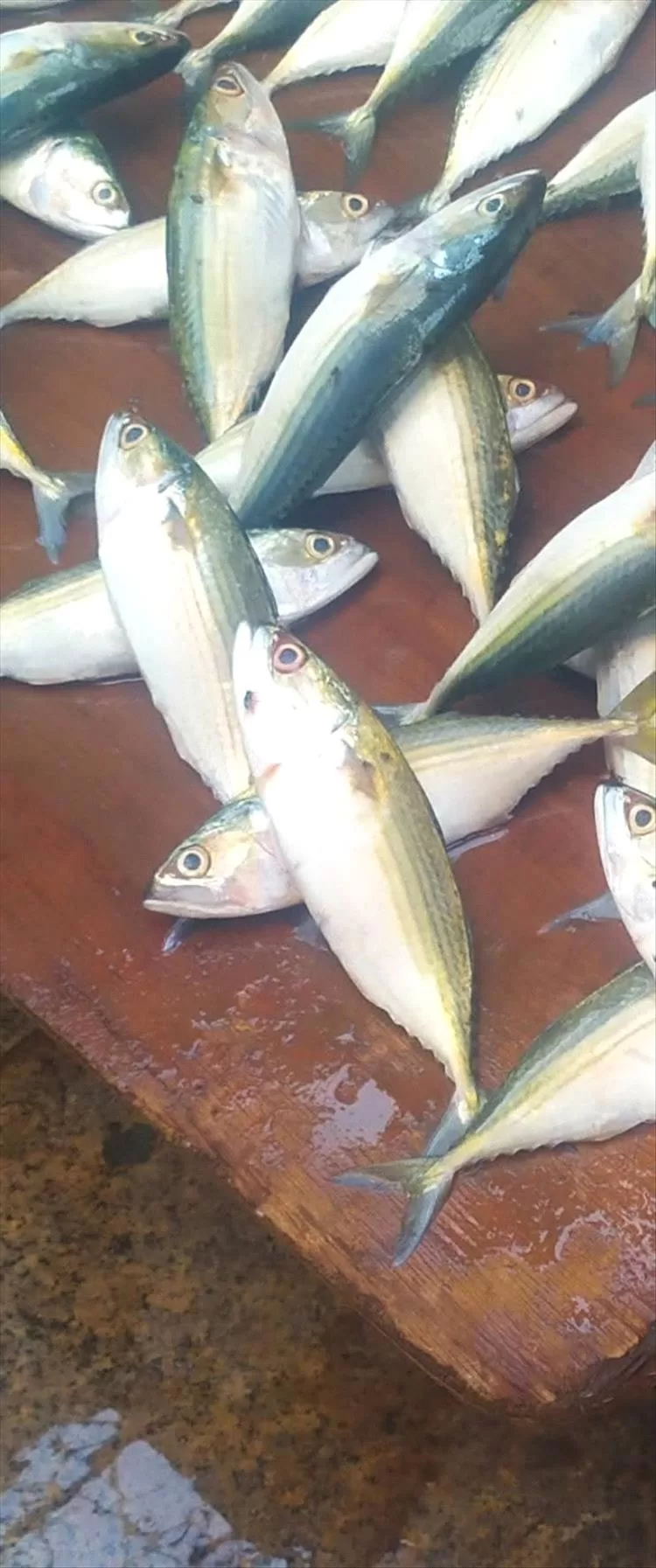 في عدن.. حتى