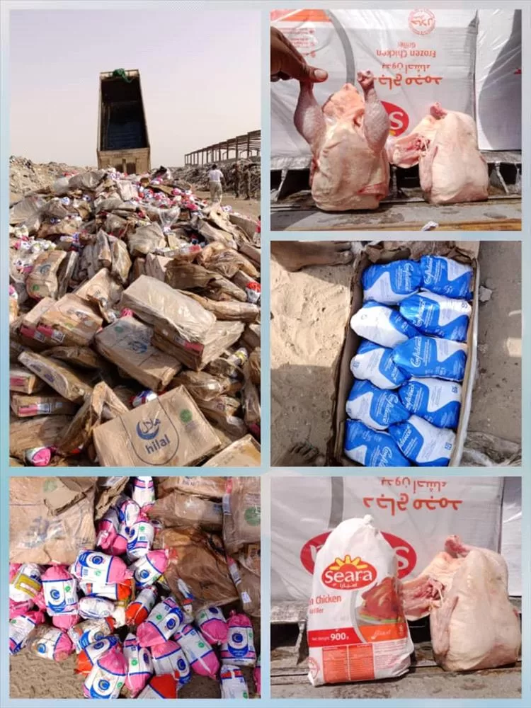 هيئة المواصفات والمقاييس تتلف وترفض دجاج مجمد مستورد فاسد بعدن