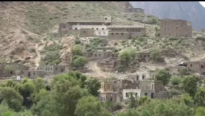 اخبار وردت الآن – مأساة في الأزارق.. وفاة طفلة بسبب عضة كلب مسعور amid warnings of rabies spread.