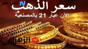 «تحديث منيوزصف النهار» كيف تسير أسعار الذهب؟ اكتشف جديد أسعار الذهب اليوم في مصر وعيار 22 حالياً – نبض مصر