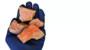 تحصل فيريدس على إيماءة للتقدم مع خطة الدعم المشترك لمشروع REE البرازيلي