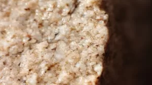 توافق المعادن السيليكون على الحصول على التصريح الشامل في أونتاريو