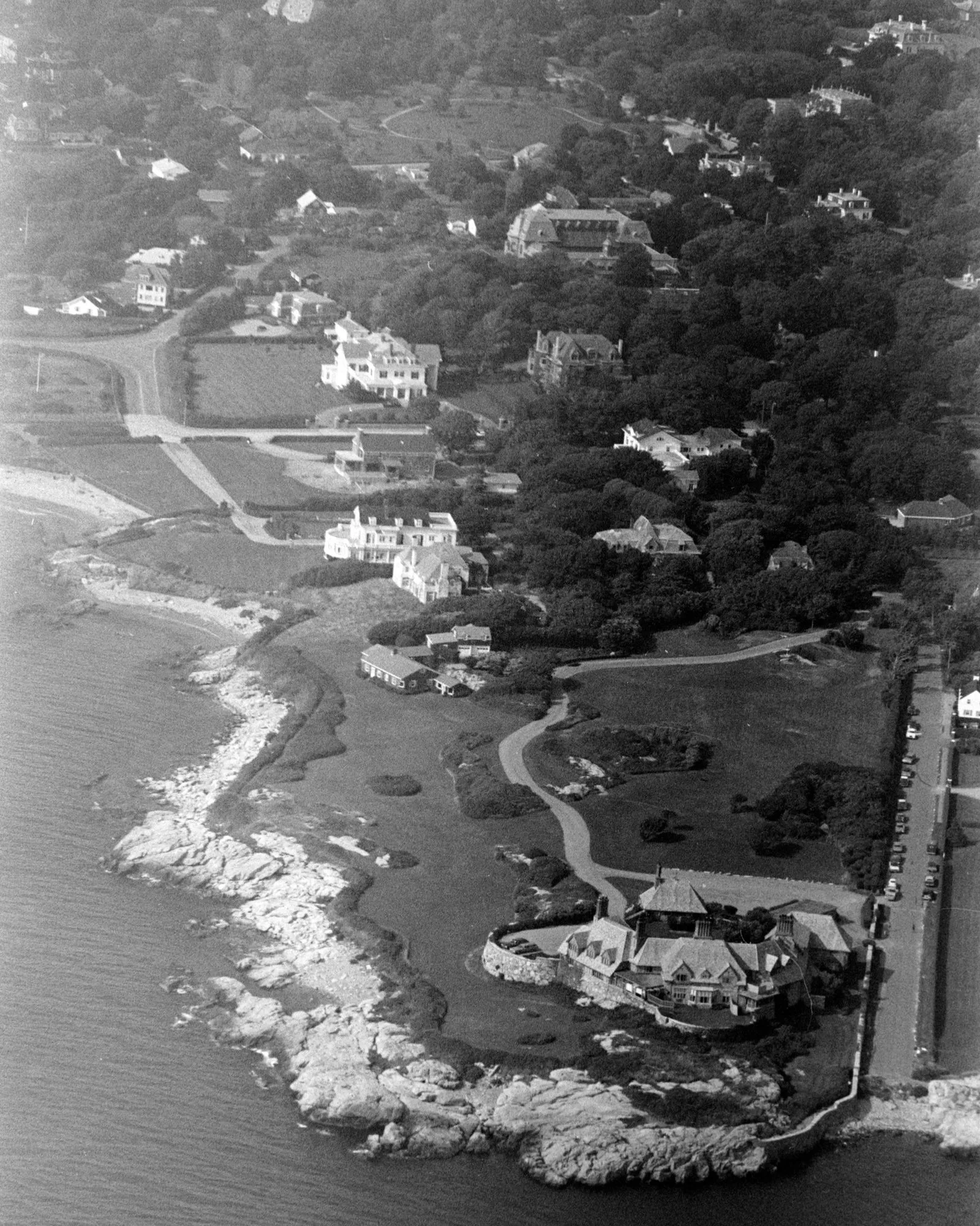 الصورة قد تحتوي على الماء، الواجهة المائية، الطبيعة، الهواء الطلق، البحر، الأرض، الحيوان، الكلب، الثدييات، نيوفندلاند، والحيوانات الأليفة