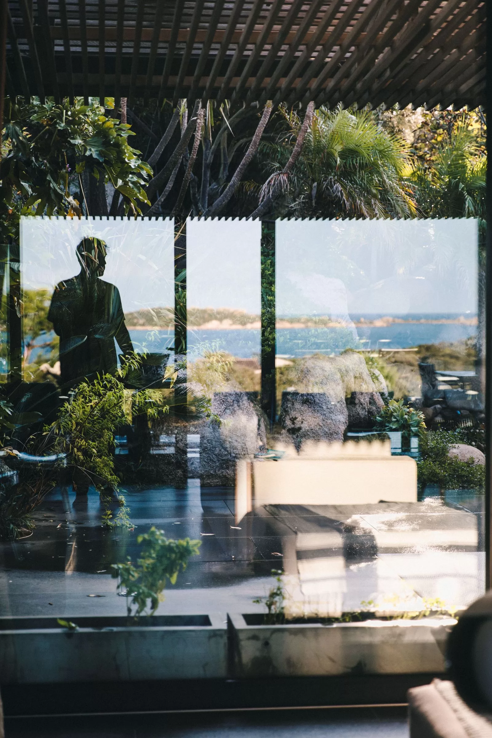 قد تحتوي الصورة على نبات وعاء نبات شجرة جرة مزهرية خزف حديقة صيفية وطبيعة وخارج ونباتات