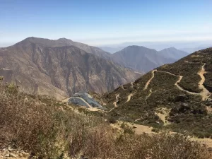 زئير لوكاكا الذهبية بعد الفوز على بيرو في التحكيم