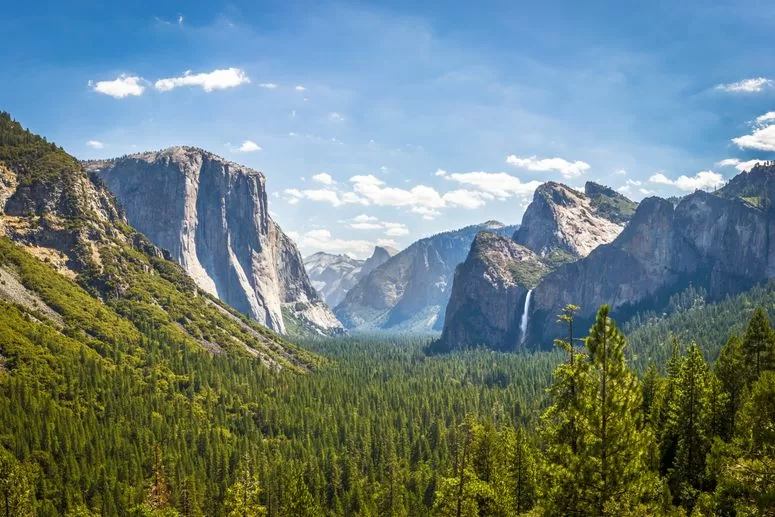 هذه الصورة قد تحتوي على: نبات، نباتات، أرض، طبيعة، في الهواء الطلق، شجرة، غابة، مناظر، مناظر طبيعية، برية، وجبل