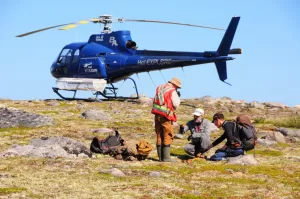 سنتريرا تشتري 9.9٪ من ميدلاند ضمن استثماراتها في شركات الذهب الناشئة