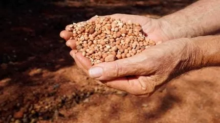 صادرات البوكسيت في غينيا تصل إلى 486 مليون طن في