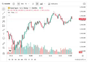 لا تزال توقعات أسعار الذهب قوية في ظل حالة عدم اليقين – مجلس الذهب العالمي
