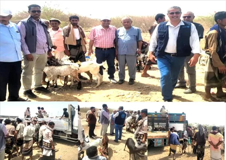 أخبار المحافظات - الـفاو و الدعيس يشرفان على توزيع الماعز لـ155 أسرة في عزلة المشالحة بالم