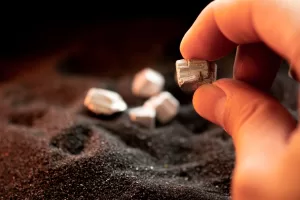 من المتوقع أن يرتفع إنتاج الفضة العالمي في عام 2025، لكن إغلاق المناجم يواجه تحديات طويلة الأجل.