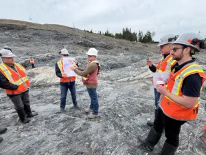 منشورات ذهبية جديدة تم اكتشافها في الاقتصاد عالي العائد