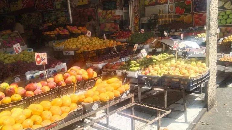 هل تؤثر درجات الحرارة المرتفعة على أسعار الخضروات والفاكهة؟ نقيب الفل