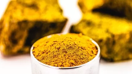 يبدأ موقع تعدين اليورانيوم في جنوب تورتيكودوك بعملياته