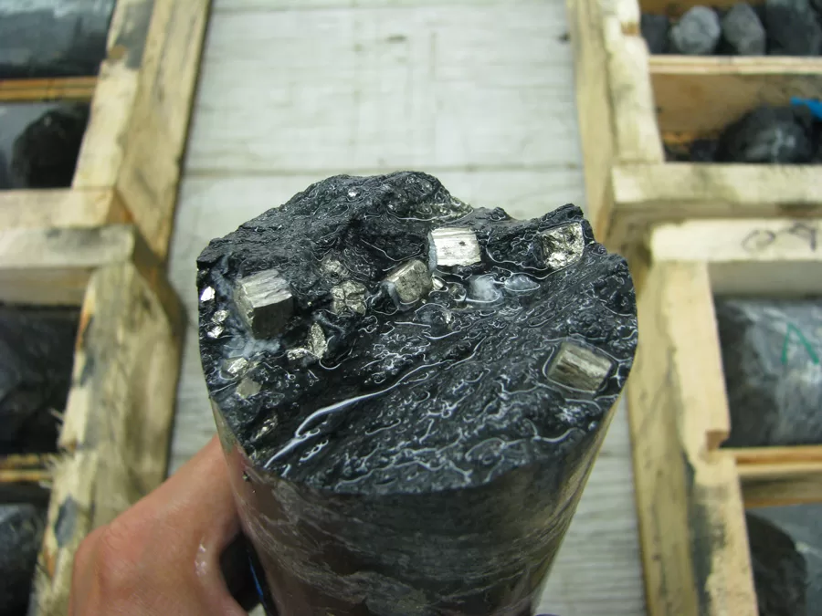 يرفع البازلاء الجبلية الإسبانية كلاً من NPV و