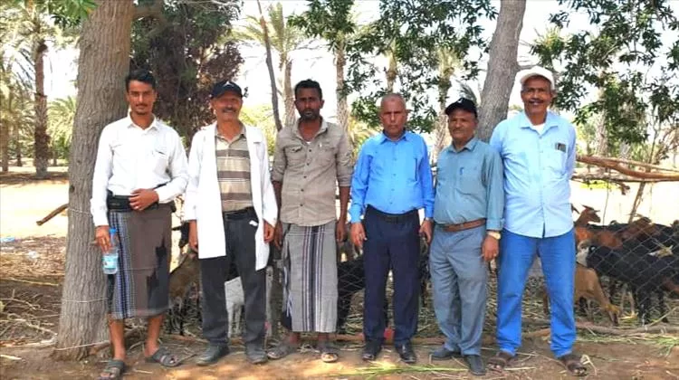 الدعيس يتفقد جاهزية الدفعة الأخيرة من الماعز لتوزيعها على الأسر المستفيدة في المخا