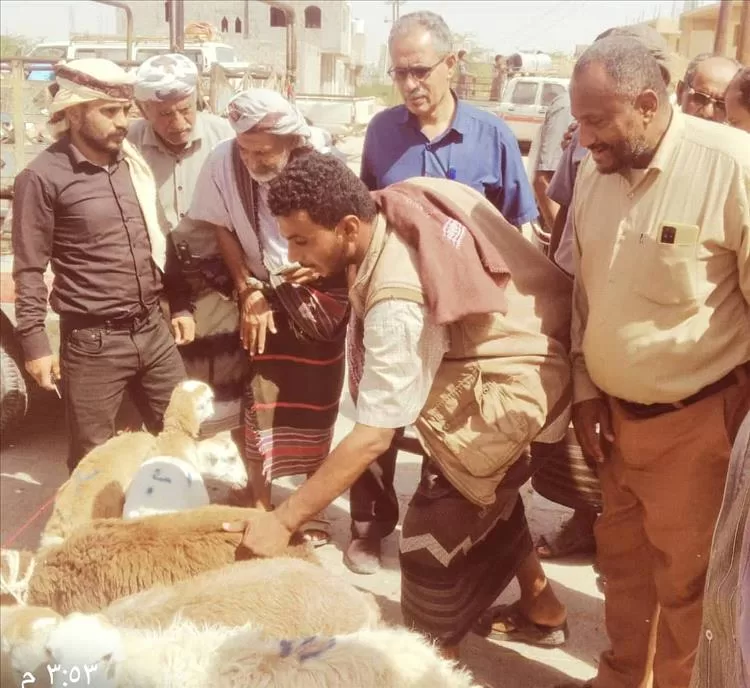 مدير عام م عتق يزور سوق الماشية لمتابعة انخفاض الأسعار