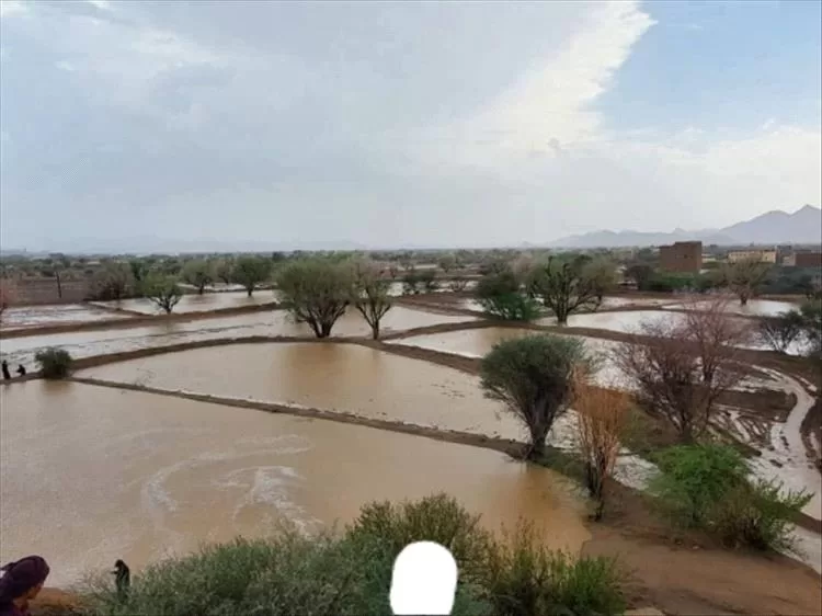 شبوة تُسجل 6 وفيات وخسائر مادية جراء أمطار غزيرة وسيول جارفة