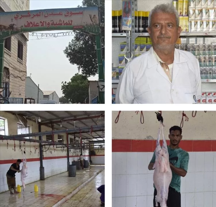 علي بن عاطف: نحن مع قرار التعافي والإصلاحات وكل ما يصب في إطار مصلحة المواطن بتخفيض اسعار المواشي