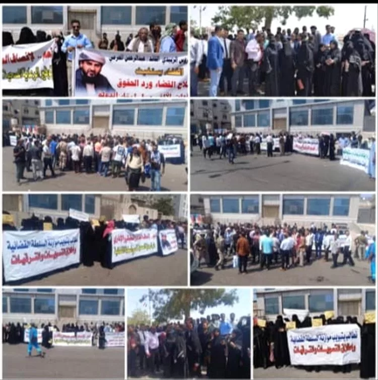 منتسبو القضاء