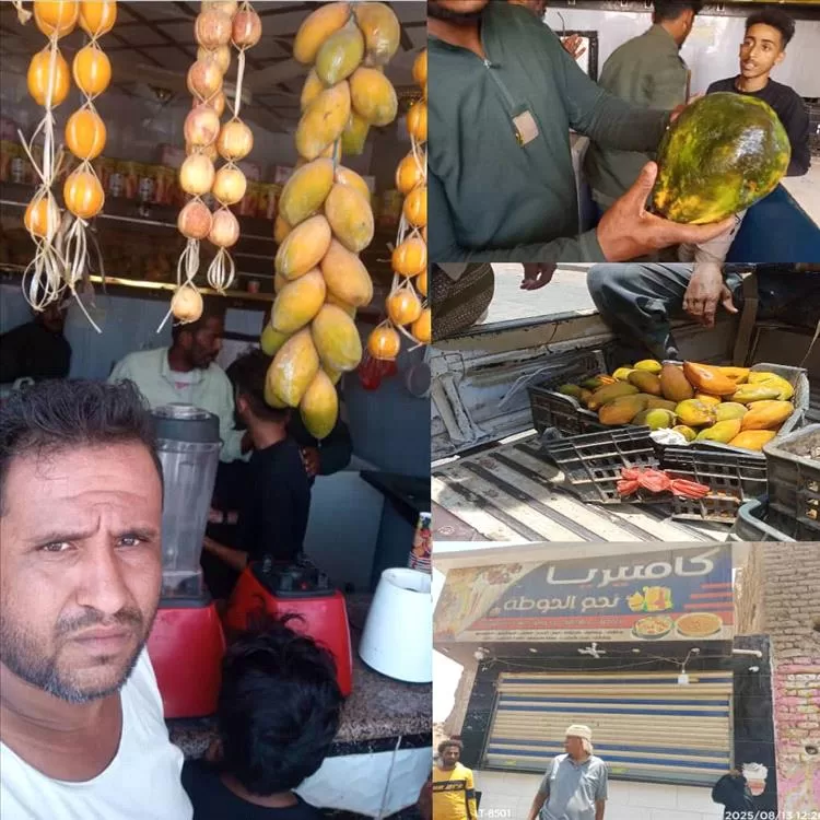 لحج.. مكتب الأشغال العامة بالحوطة ينفذ حملة رقابية على محال المشروبات المخالفة