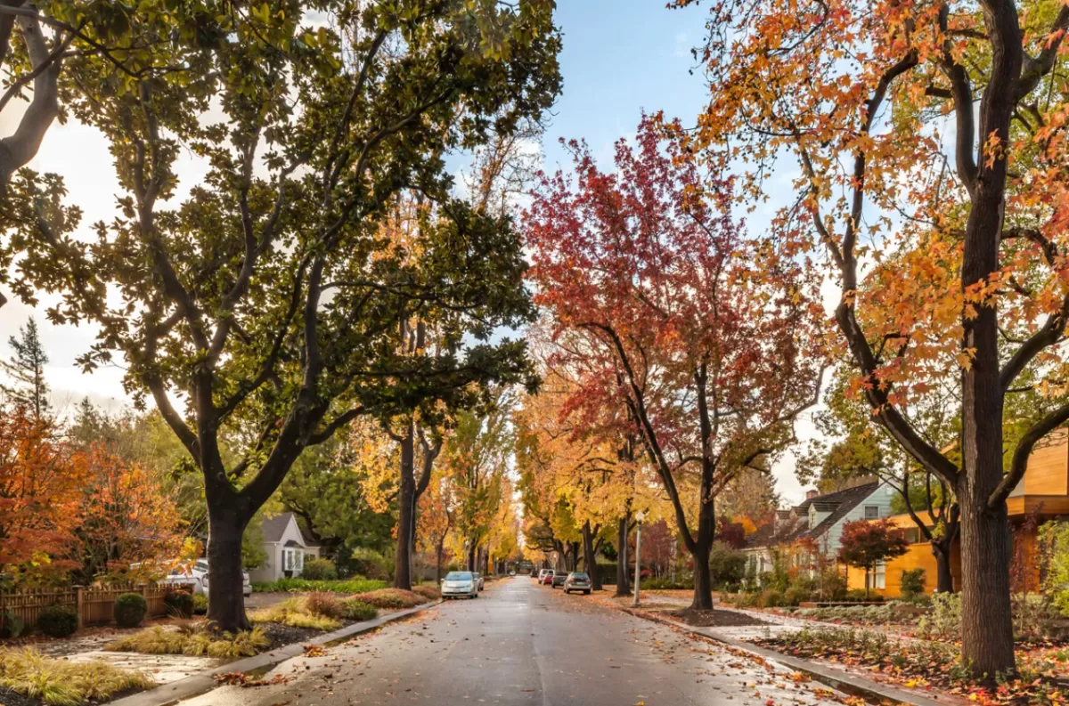 التكلفة الخفية للعيش في ظل مجمع مارك زوكربيرغ الذي بقيمة