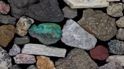 الولايات المتحدة تفرض عقوبات على الميليشيات الكونغولية وكيانات التعدين بسبب