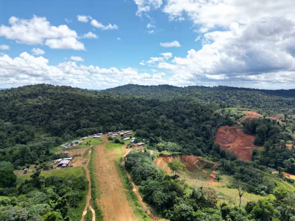 توسع نتائج الذهب للمؤسسين في منطقة عالية الجودة في أنتينو