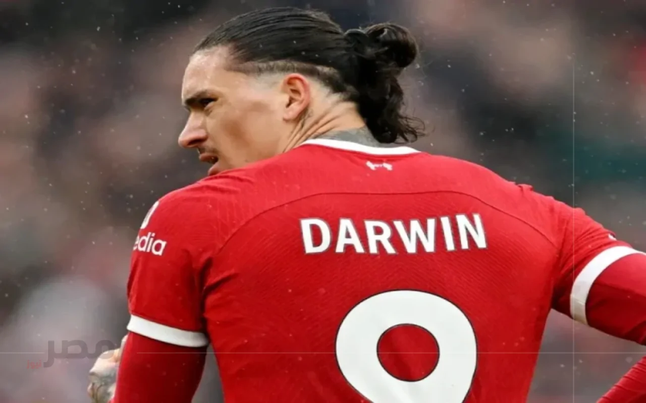 صدمة للجماهير.. داروين نونيز يرحل رسميًا إلى الهلال السعودي بعد أرقام محبطة مع ليفربول.. هل أخطأ كلوب في التعاقد معه؟