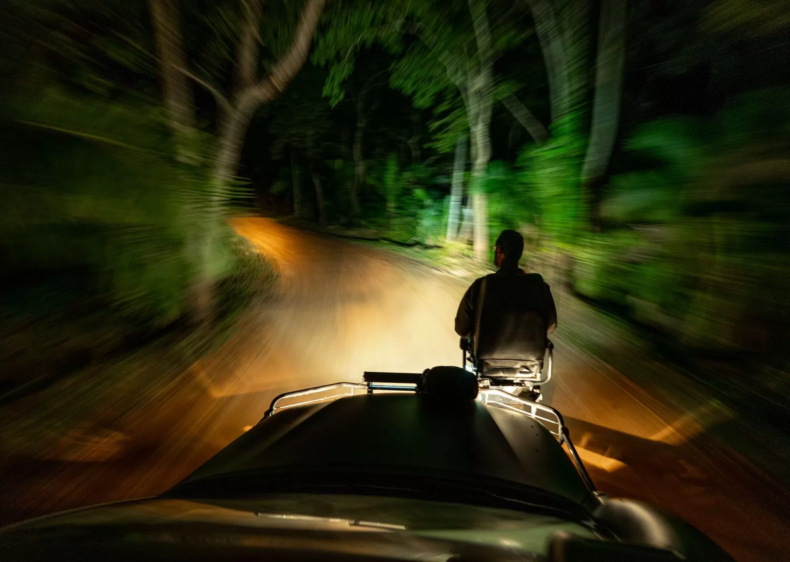 قد تحتوي الصورة على نباتات وغطاء نباتي وشخص بالغ وشجرة وطريق ومدينة وشارع حضري وطبيعة وخارج وحدود وغابة