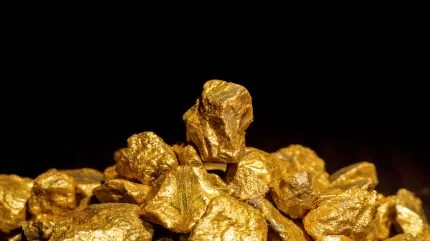 ميدالية علامات مُلزمة صفقة لأصول فورستانيا من IGO في أستراليا