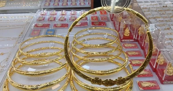 دونج ثاب: الحفاظ على الأشجار التراثية في ظل الحياة العصرية