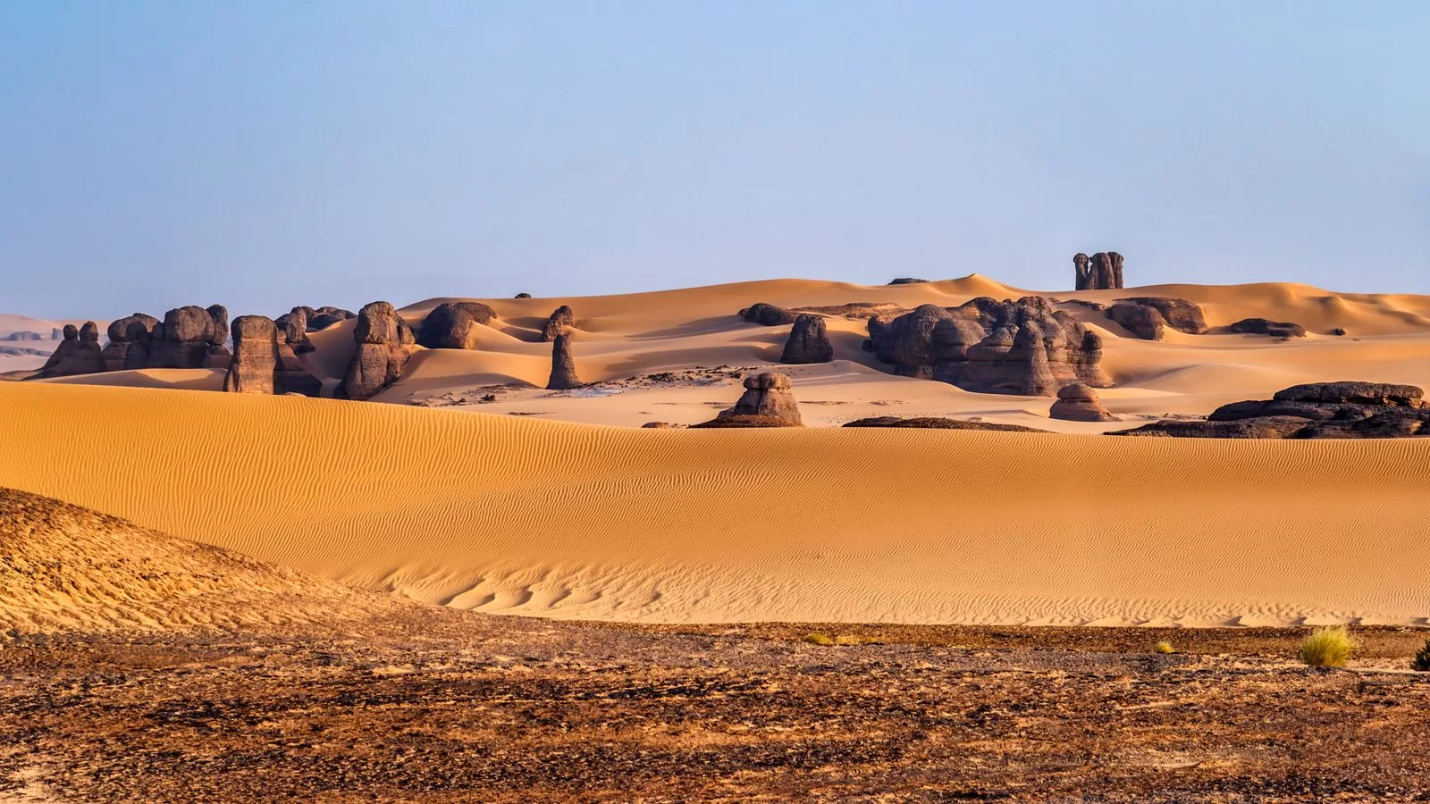 تحتوي الصورة على صحراء طبيعة خارجية مناظر طبيعية وشخص