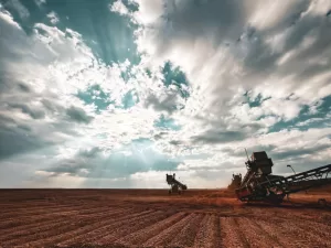 أورلا تحقق هدف الإخراج بعد شريحة جدار المكسيك