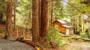 أين تقيم بالقرب من حديقة ريدوود الوطنية