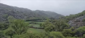 اخبار المناطق – تساقط أمطار غزيرة في محافظة الضالع