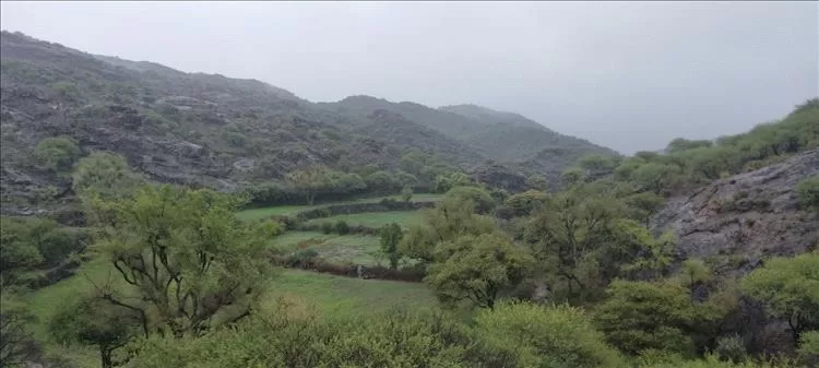 هطول أمطار غزيرة في محافظة الضالع