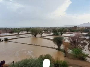 اخبار المناطق – شبوة تسجل 6 حالات وفاة وأضرار مالية بسبب أمطار غزيرة وسيول شديدة