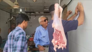 اخبار عدن – إطلاق حملة لضبط أسعار اللحوم في منطقة المنصورة بعدن