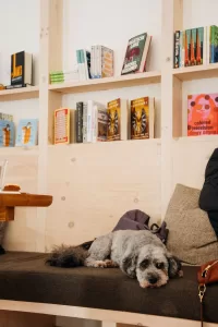 اكتشاف نوع مختلف من العافية في ملاذ قرائي في كاتسكيليس