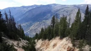 تتلقى شركة المعادن الدقة عرضاً بقيمة 225 مليون دولار لمشروع هورس هيفن أنتيمونّي