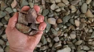 تطلق Rare Earths Americas 16 مليون دولار لاستكشاف ذخائر عالية الجودة في الولايات المتحدة والبرازيل.